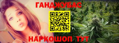 стаф Гатчина
