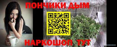 стаф Гатчина