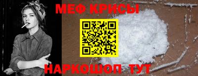 стаф Гатчина