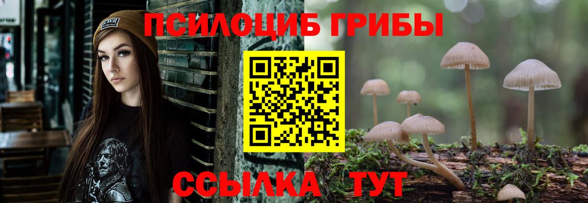 Галлюциногенные грибы мухоморы  магазин продажи наркотиков  Псилоцибиновые грибы Psilocybine cubensis  Кунгур  Вход с VPN 